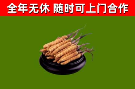 元谋县烟酒回收冬虫夏草.jpg
